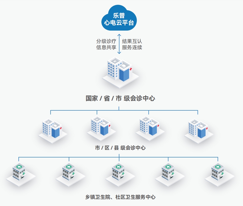心电一张网 心电一张网
