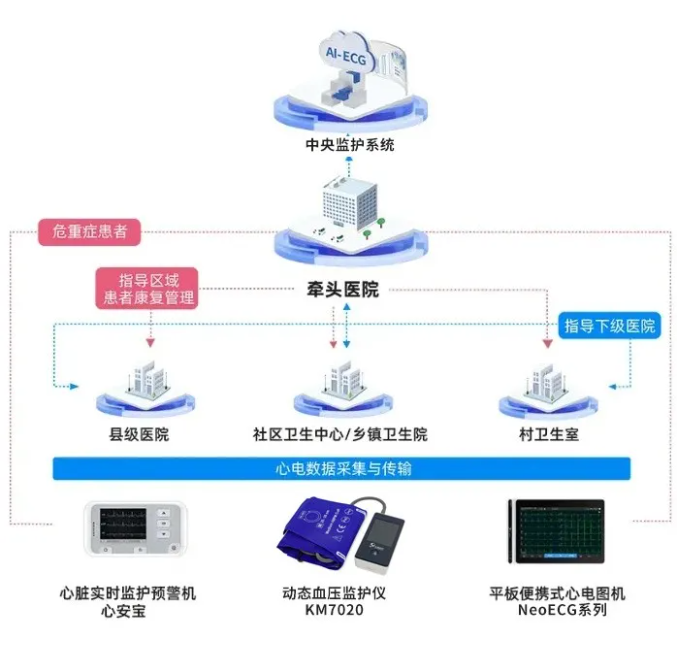 心电一张网 心电一张网