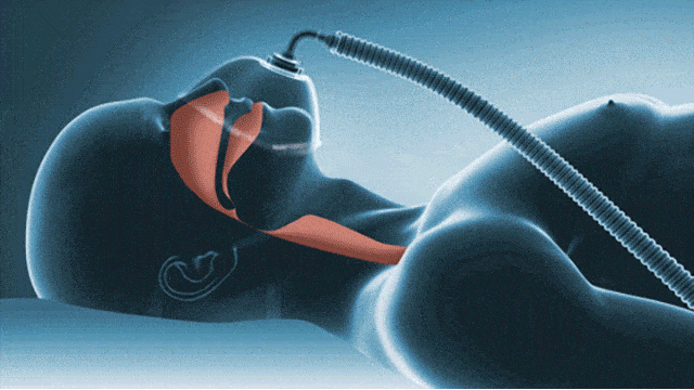 1765502695367666.png image.png