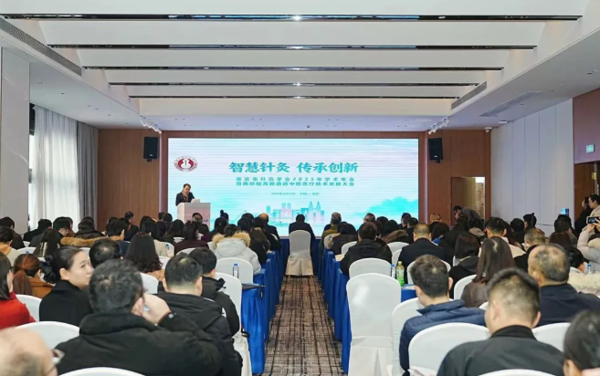 电磁式冲击波治疗仪FS10系列