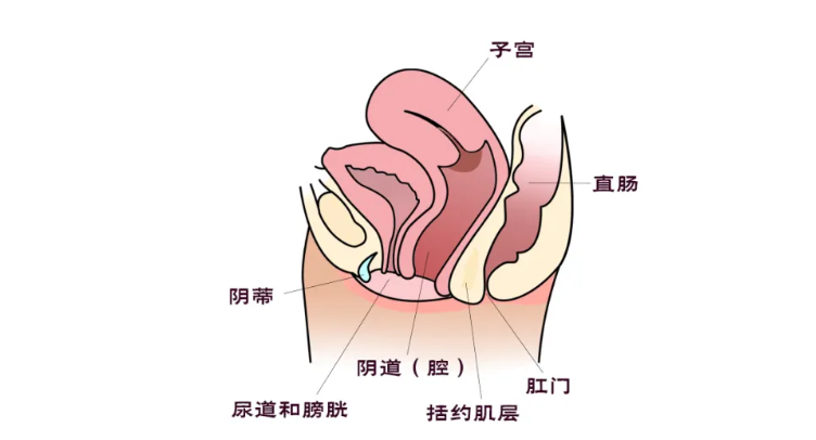 1775111288434026.png image.png