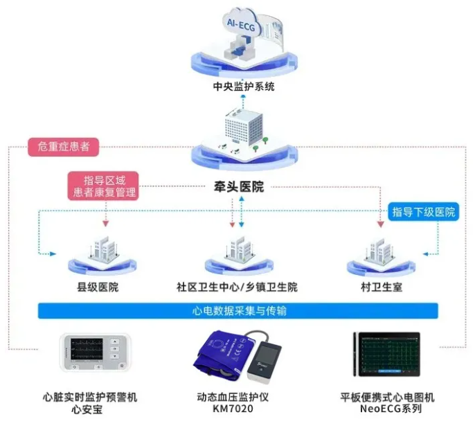 心电一张网 心电一张网