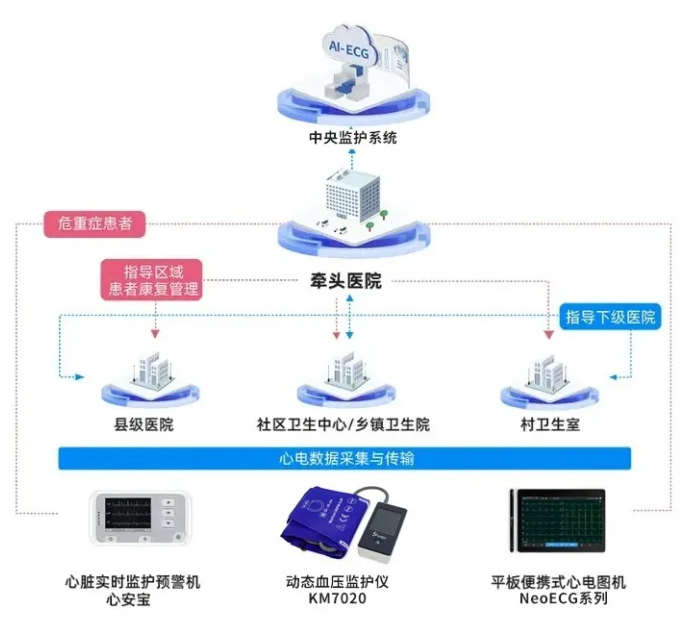 心电一张网 心电一张网